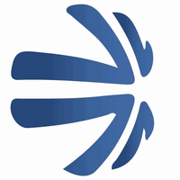 The Healthcare Initiative Logo