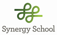 Synergy School Logo